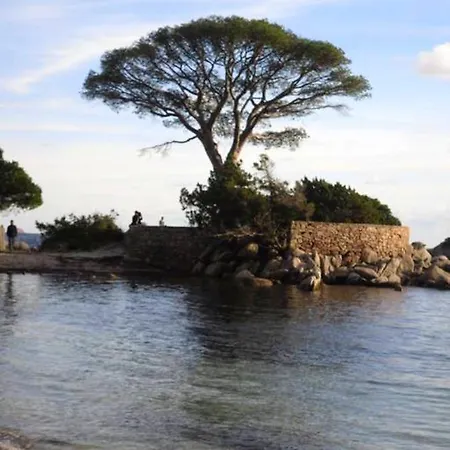 Maison D'une A Vecchio Avec Jardin Clos Et Wifi A 4 Km De La Plage Holiday home *