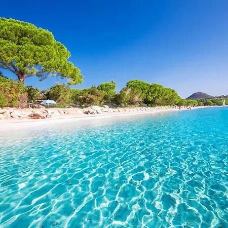 Maison D'une A Vecchio Avec Jardin Clos Et Wifi A 4 Km De La Plage Porto-Vecchio (Corsica)